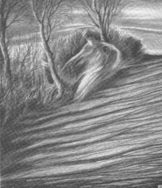 Paul Lowe's Illustration for A Neighbour's Landmark